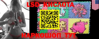 гашик Будённовск