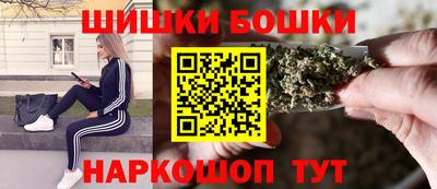 гашик Будённовск