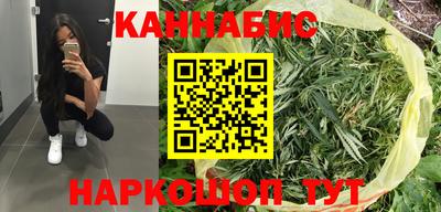 гашик Будённовск