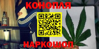 сатива Бузулук