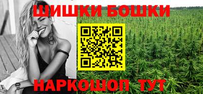 сатива Бузулук