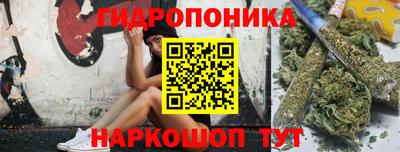 гашик Будённовск
