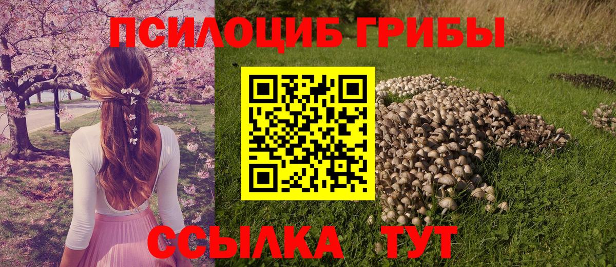 Псилоцибиновые грибы Psilocybine cubensis Орёл