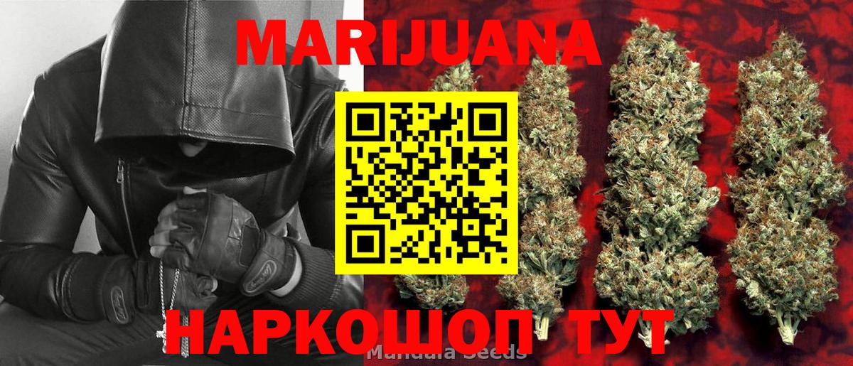 Конопля сатива Орёл